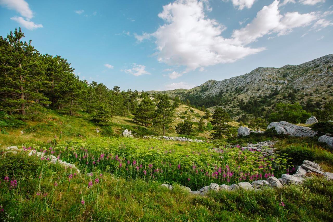 Ferienwohnung Apartman Magdalena Makarska Exterior foto